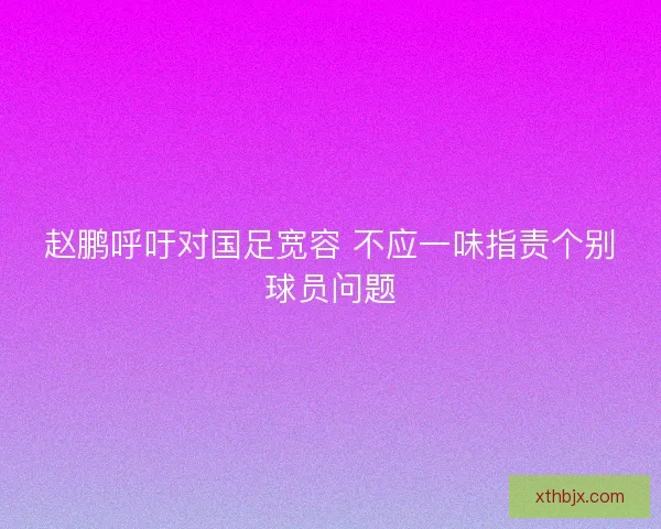 赵鹏呼吁对国足宽容 不应一味指责个别球员问题